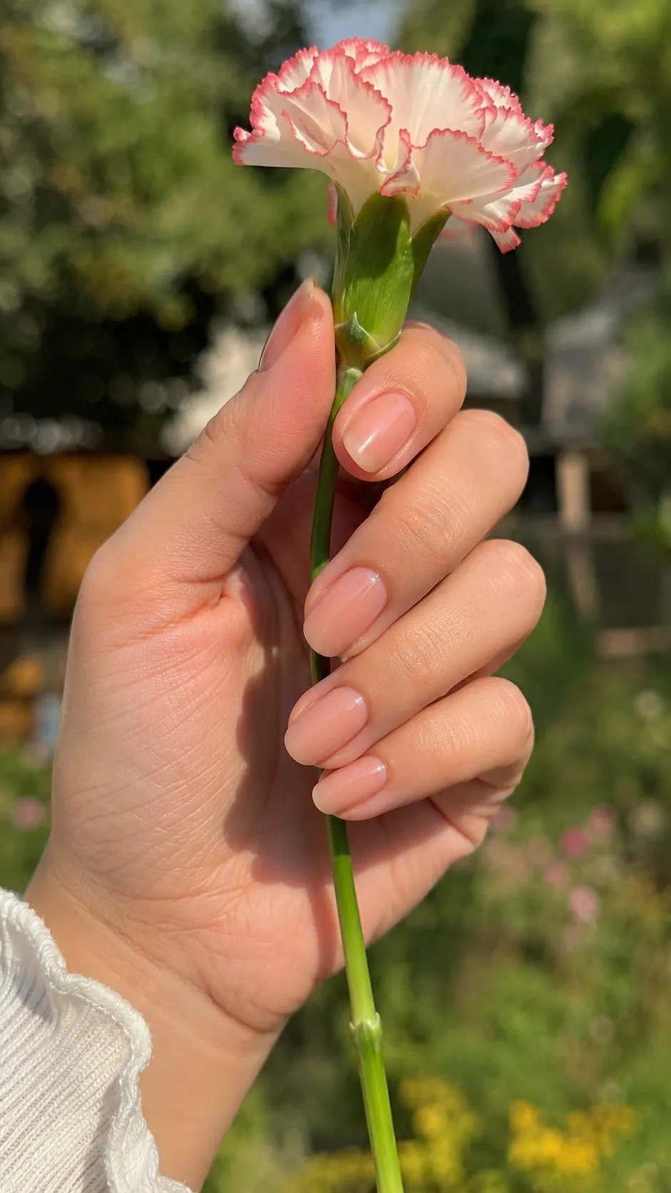 short healthy nail ideas august
